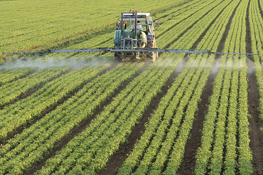 Pesticide analysis in food