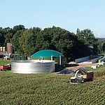biogas plant and maize field
