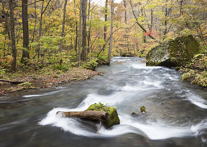 Wasser, das WESSLING mit Grundwasseranalytik untersucht, rauscht durch einen Bach im Wald