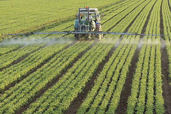 Pestizidanalytik in Lebensmitteln